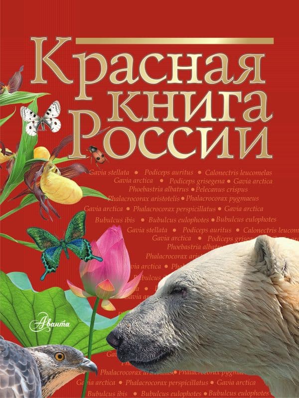 Обложка книги Красная книга России — Пескова И.М., Дмитриева Т.Н., Смирнова С.В., Куксина Н.В., Зотова М.Г., Тимоханов В.А. и др.