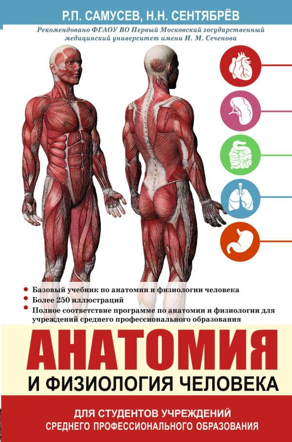 Обложка книги Анатомия и физиология человека. Учебное пособие для студентов учреждений среднего профессионального образования — Самусев Р.П., Сентябрев Н.Н.