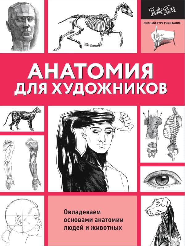 Обложка книги Анатомия для художников — Walter Foster
