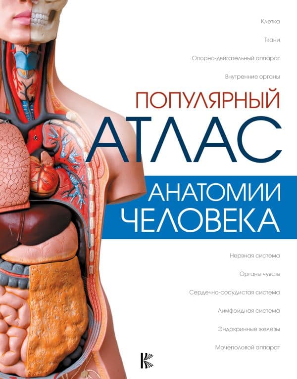 Обложка книги Популярный атлас анатомии человека — Палычева Любовь