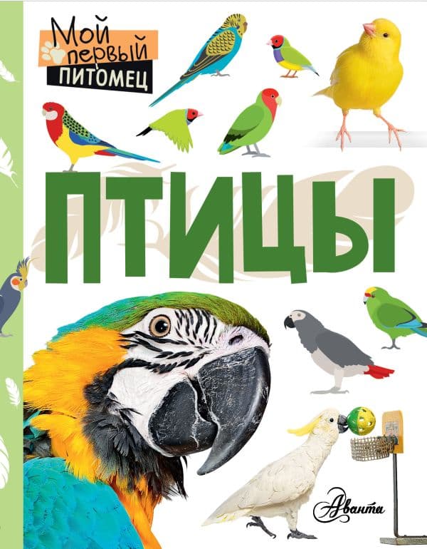 Обложка книги Птицы — Аронова Н.Л.