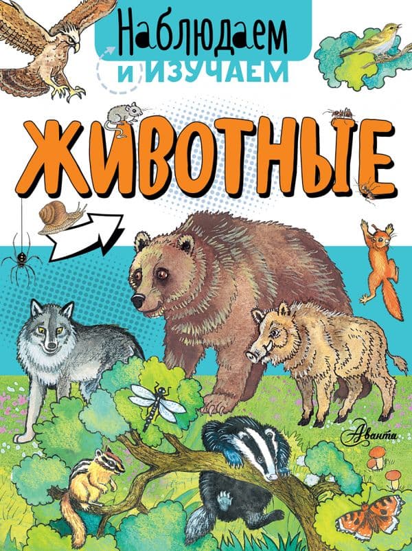 Обложка книги Животные — Ткачева А.А.