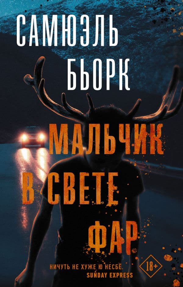 Обложка книги Мальчик в свете фар — Бьорк С.