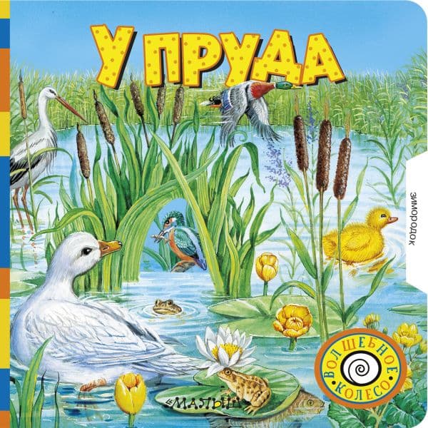 Обложка книги У пруда — .
