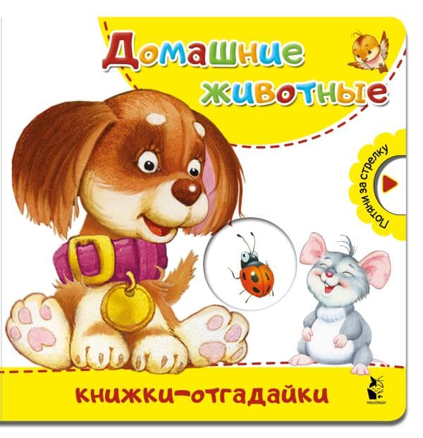 Обложка книги Домашние животные — .