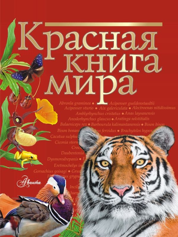 Обложка книги Красная книга мира — Пескова И.М., Молюков М.И.