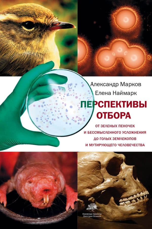 Обложка книги Перспективы отбора — Марков А.В., Наймарк Е.Б.