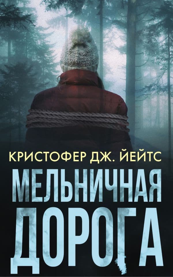 Обложка книги Мельничная дорога — Йейтс К.