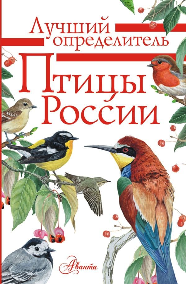 Обложка книги Птицы России — Мосалов А.А.