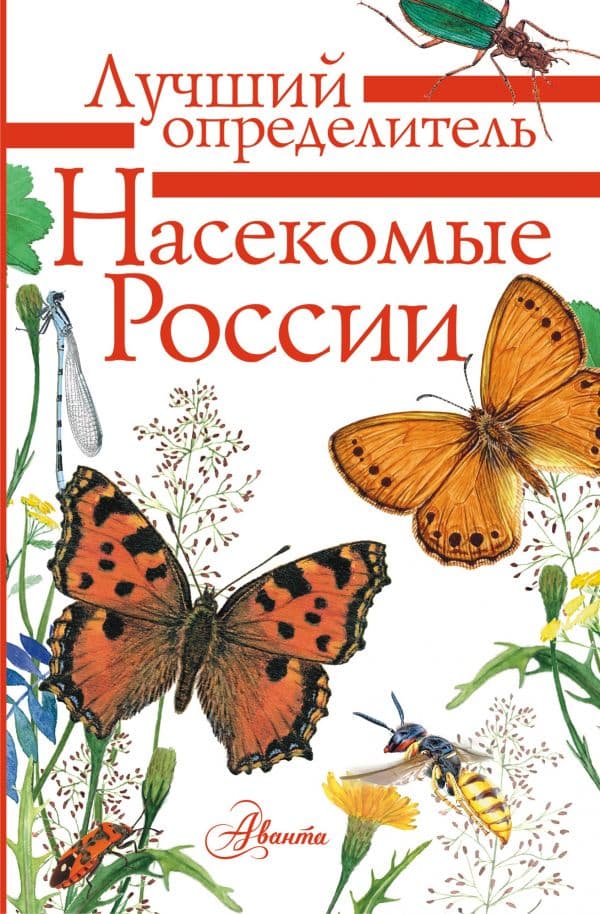 Обложка книги Насекомые России — Гомыранов И., Полевод В.
