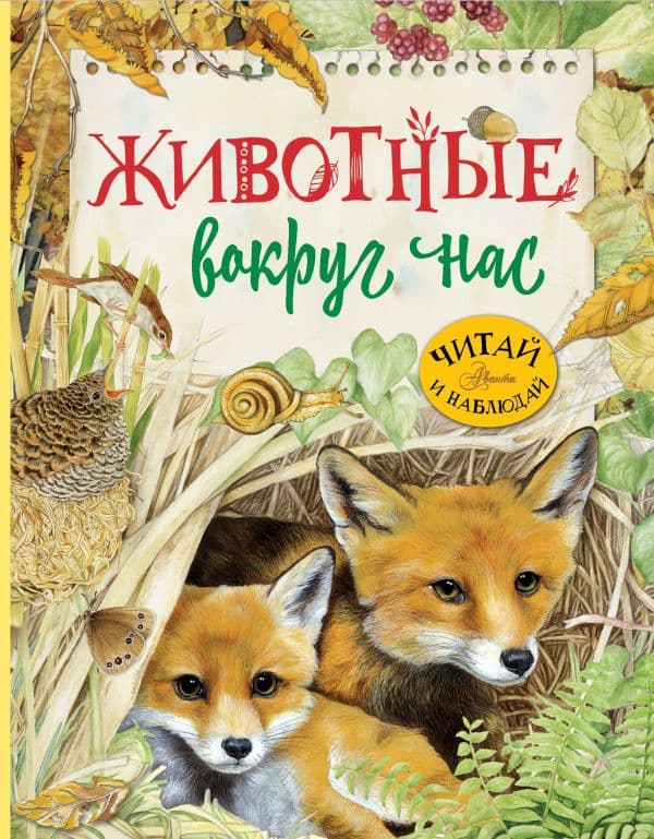 Обложка книги Животные вокруг нас — Барсотти Р.