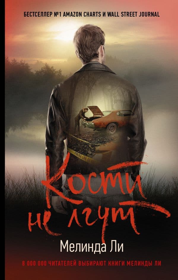 Обложка книги Кости не лгут — Ли М.