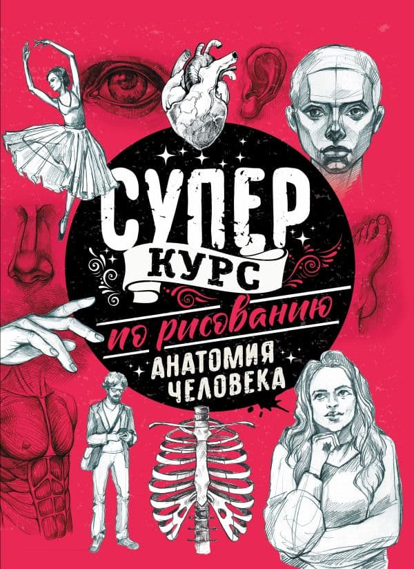 Обложка книги Суперкурс по рисованию. Анатомия человека — Грей М.