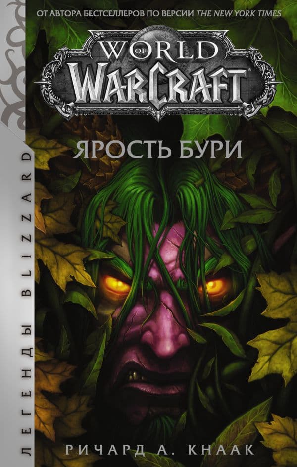 Обложка книги World of Warcraft. Ярость Бури — Кнаак Ричард