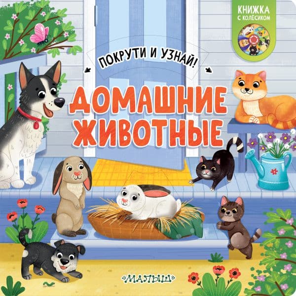 Обложка книги Домашние животные — .