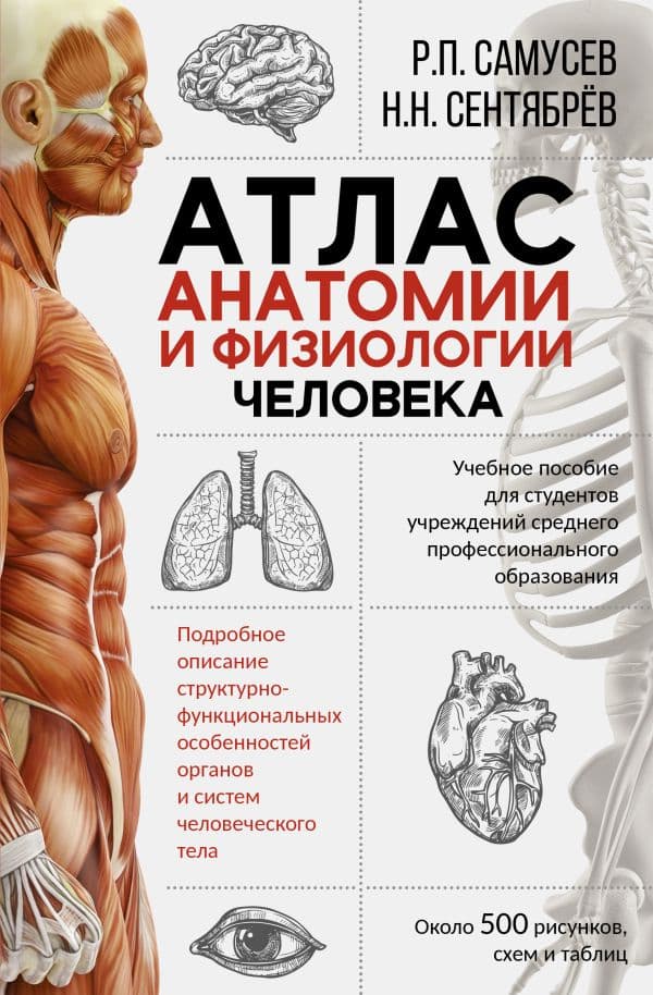 Обложка книги Атлас анатомии и физиологии человека. Учебное пособие для студентов учреждений среднего профессионального образования — Самусев Р.П., Сентябрев Н.Н.