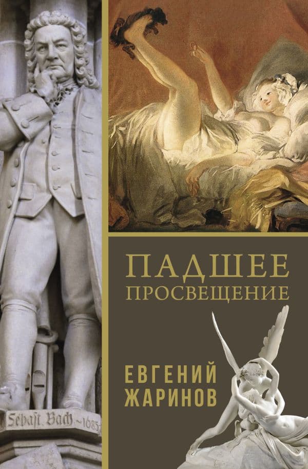 Обложка книги Падшее просвещение — Жаринов Е.В.
