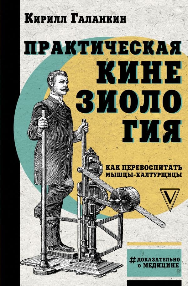 Практическая кинезиология: как перевоспитать мышцы-халтурщицы