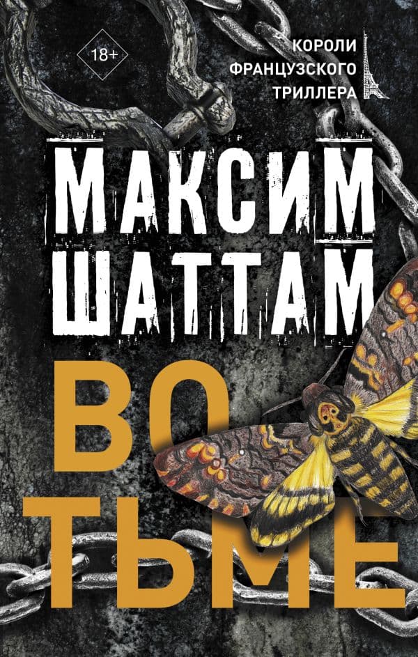 Обложка книги Во тьме — Шаттам М.