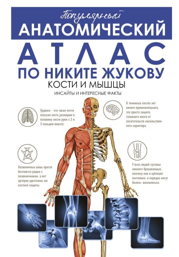 Обложка книги Популярный анатомический атлас по Никите Жукову: кости и мышцы. Инсайты и интересные факты — Жуков Н.Э.