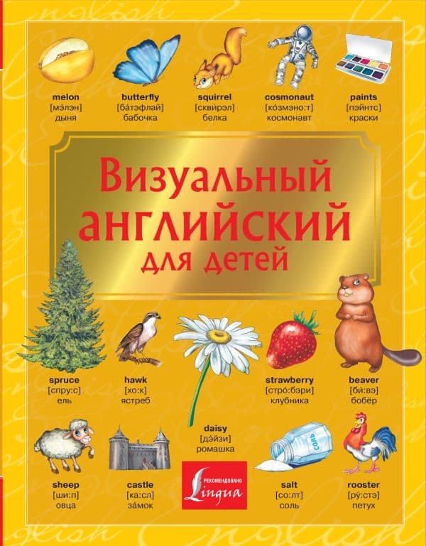 Обложка книги Визуальный английский для детей — .