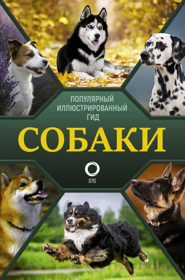 Обложка книги Собаки. Популярный иллюстрированный гид — Барановская И.Г., Вайткене Л.Д., Хомич Е.О.