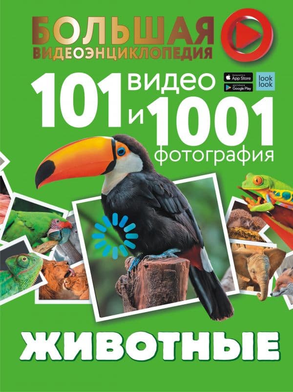 Обложка книги Животные. 101 видео и 1001 фотография — Вайткене Л.Д., Хомич Е.О.