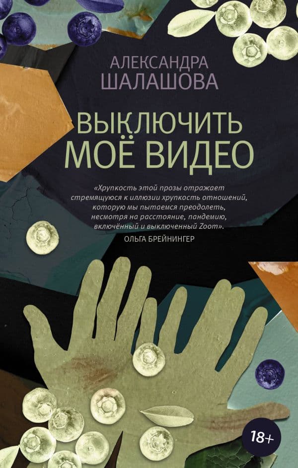 Обложка книги Выключить моё видео — Шалашова А.Е.