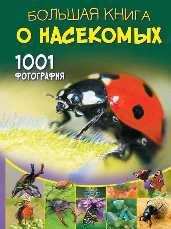 Обложка книги Большая книга о насекомых. 1001 фотография — Спектор А.А.