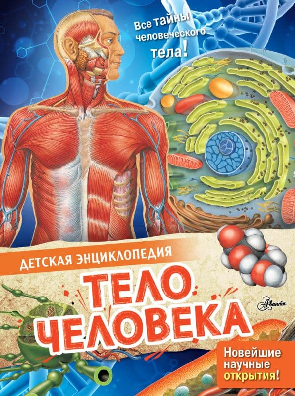 Обложка книги Тело человека — МакРей Э.
