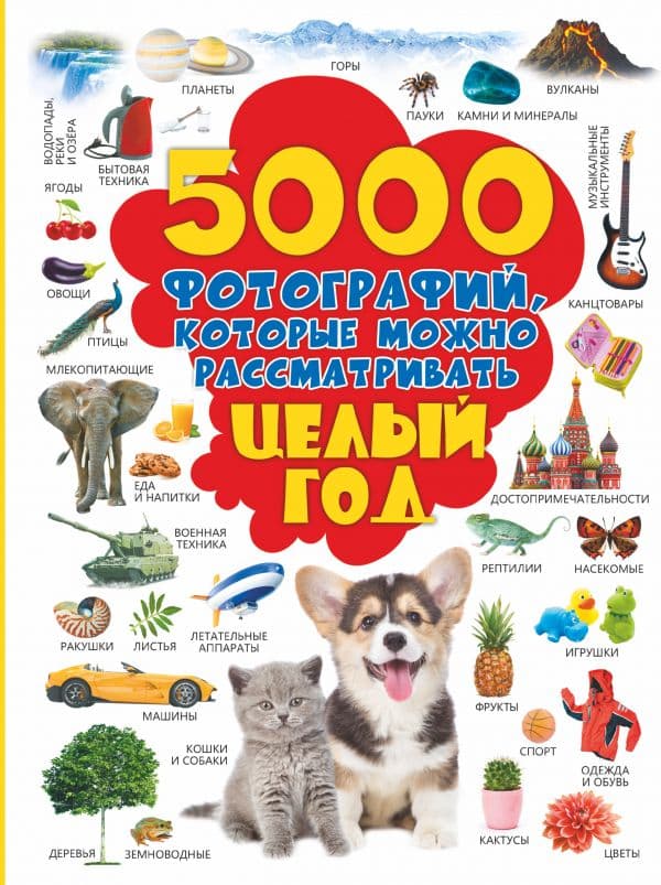 Обложка книги 5000 фотографий, которые можно рассматривать целый год — Долманская Л.В.
