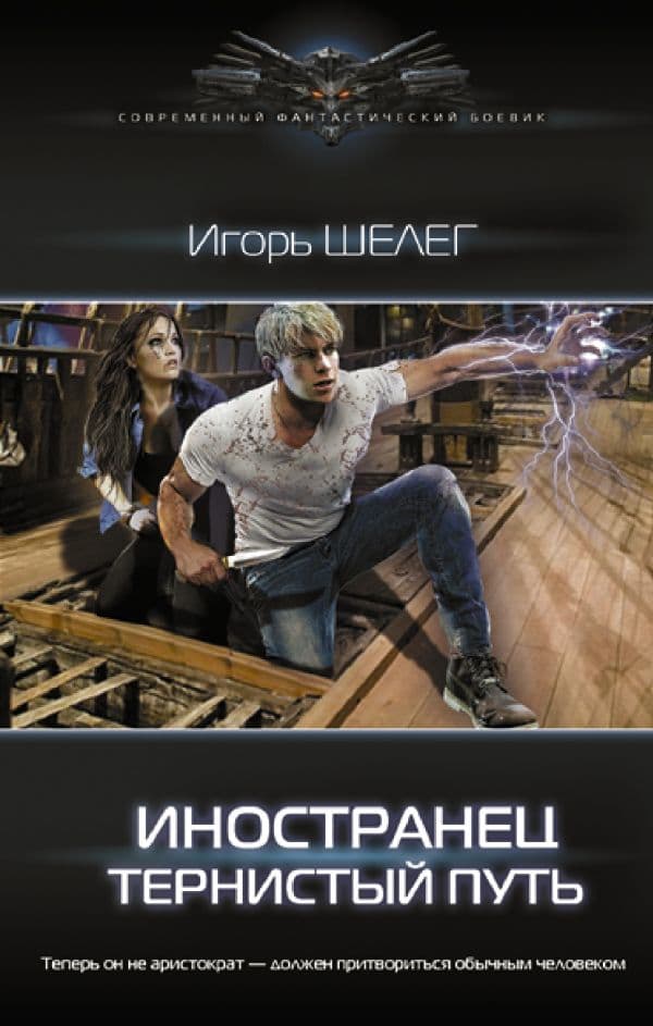 Обложка книги Иностранец. Тернистый путь — Шелег И.В.