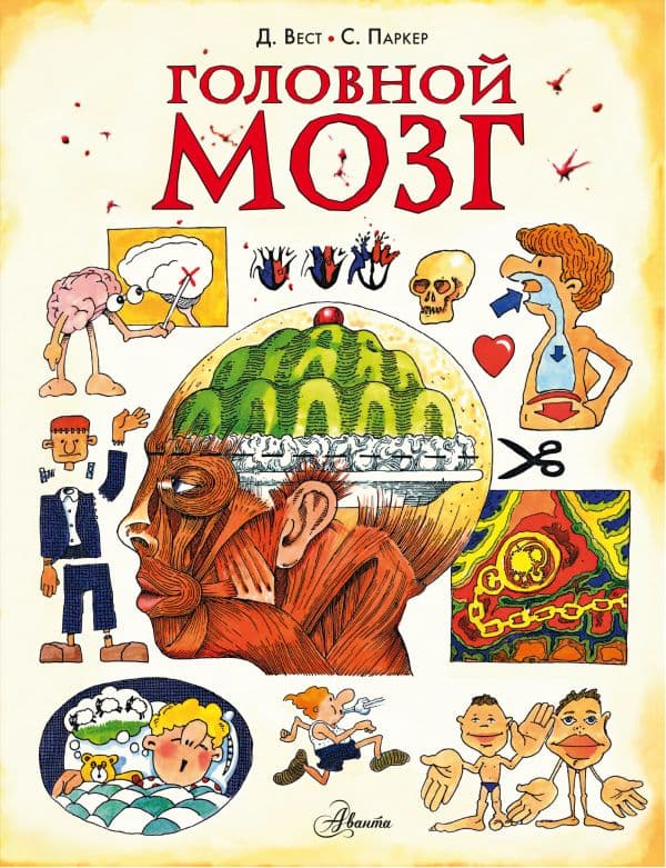 Обложка книги Головной мозг — Паркер С.