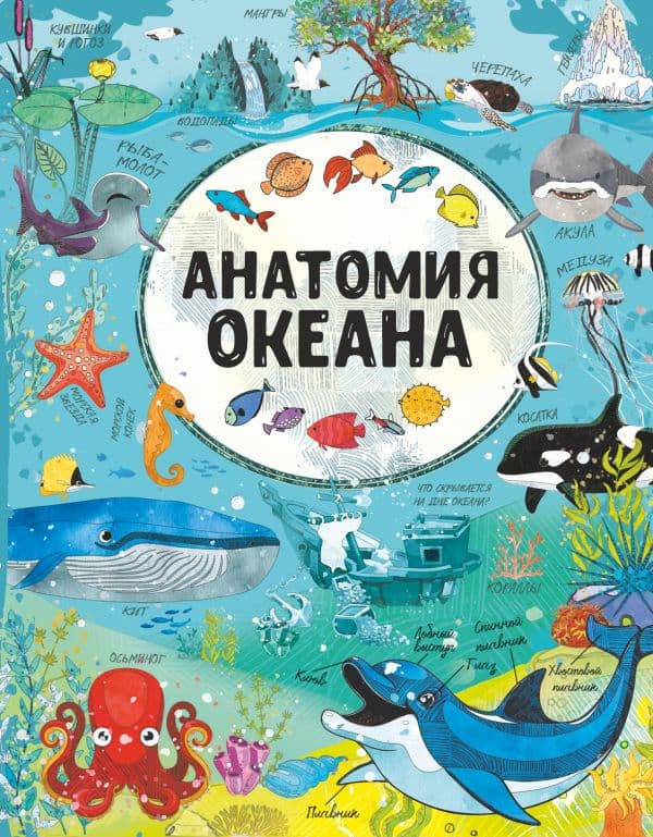 Обложка книги Анатомия океана — Барановская И.Г., Вайткене Л.Д.