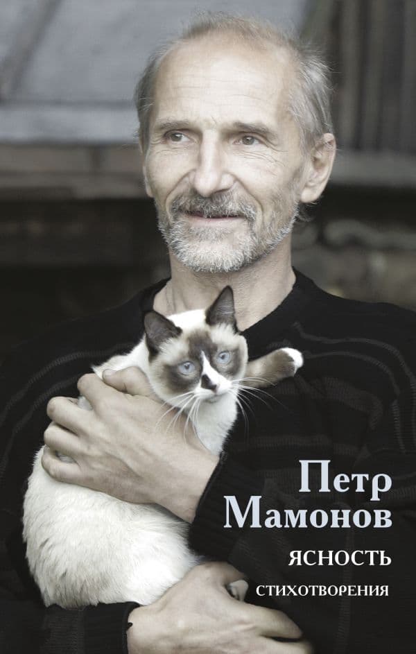 Обложка книги Ясность — Мамонов П.Н
