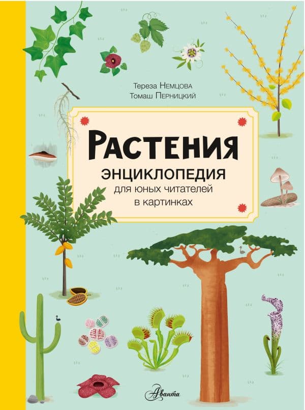 Обложка книги Растения — Немцова Т.