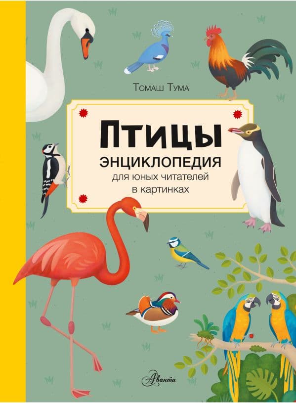 Обложка книги Птицы — Тума Т.