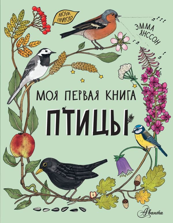 Обложка книги Птицы — Янссон Э.