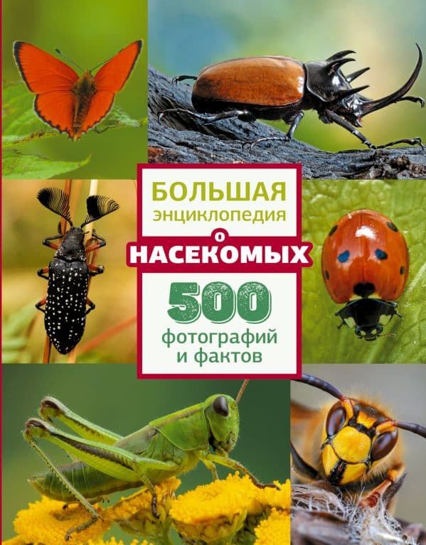 Обложка книги Большая энциклопедия о насекомых. 500 фотографий и фактов — .