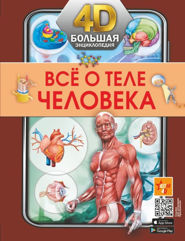 Обложка книги Всё о теле человека — .