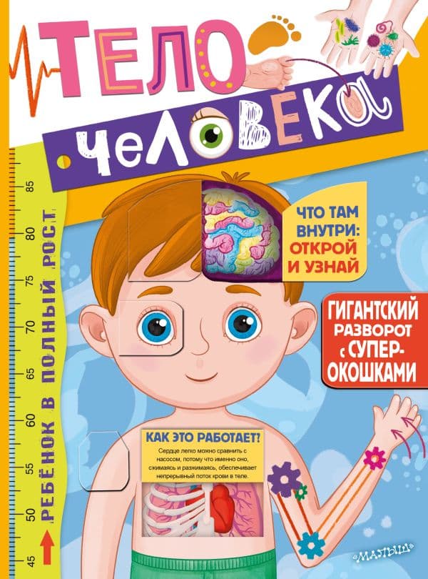 Обложка книги Тело человека — Дмитрий Лёвушкин