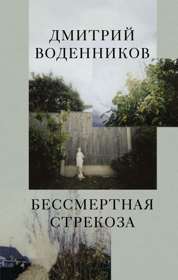 Обложка книги Бессмертная стрекоза — Воденников Д.Б.