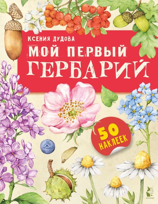 Обложка книги Мой первый гербарий — Дудова К.В.