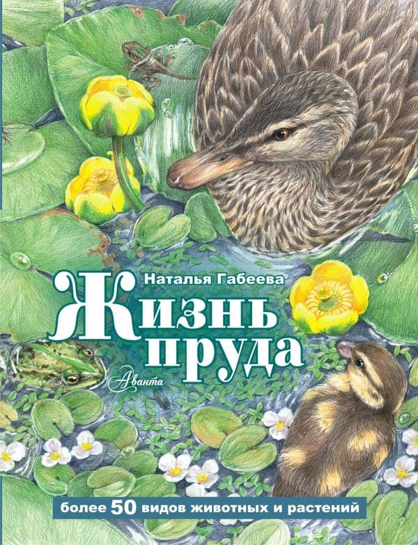 Обложка книги Жизнь пруда — Габеева Н.М.