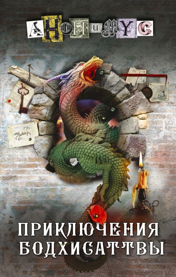 Обложка книги Приключения бодхисаттвы — Анонимус