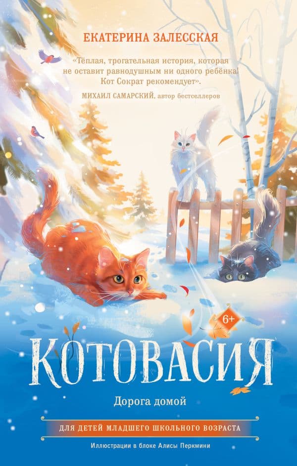 Обложка книги Котовасия. Дорога домой — Залесская Е.