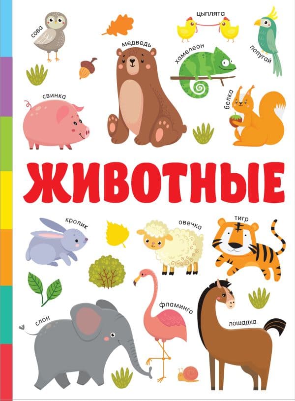 Обложка книги Животные — Дмитриева В.Г.