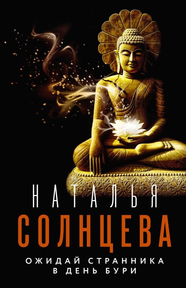 Обложка книги Ожидай странника в день бури — Солнцева Наталья