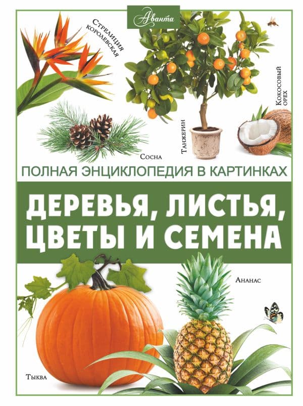 Обложка книги Деревья, листья, цветы и семена — Спектор А.А.