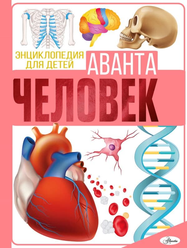 Обложка книги Человек — Гусев Е. В.